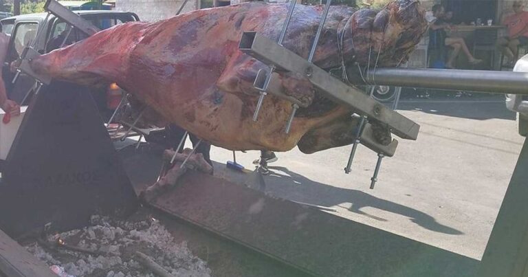 Κρήτη: Αντιδράσεις για το σούβλισμα ταύρου σε χωριό της Κισσάμου για την εορτή του Αγίου Πνεύματος