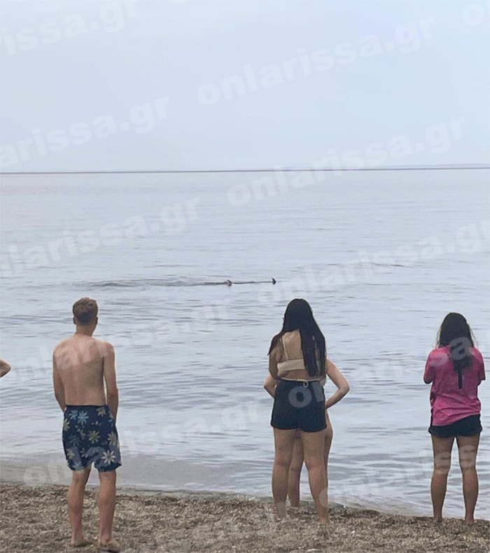 untitled 3 700x790 1