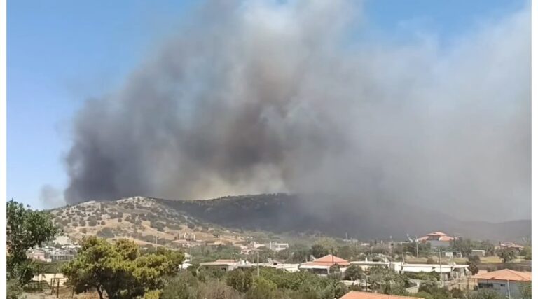 Ήχησε το 112 για δασική πυρκαγιά στη Λεωφόρο Βάρης – Κορωπίου
