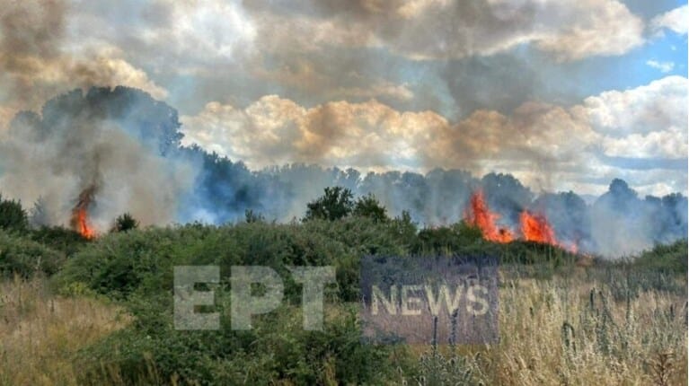 Φωτιά στην Καστοριά: Πυρκαγιά σε φωτοβολταϊκό πάρκο έξω από το χωριό Μεσοποταμία