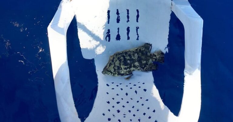 Βίντεο: Δείτε τι βρήκαν στη μέση της θάλασσας στο Σαρωνικό κόλπο