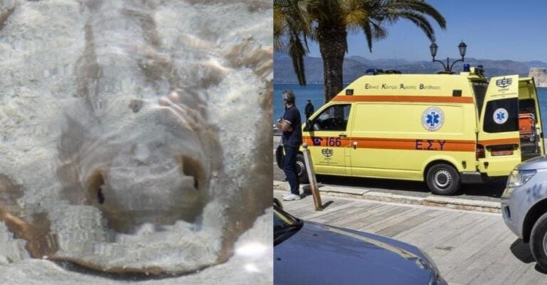 «Πάγωσαν» λουόμενοι στο Αγρίνιο: Έκανε βουτιά και ξαφνικά άρχισε να ουρλιάζει από πόνο, μόλις είδαν τι την τσίμπησε