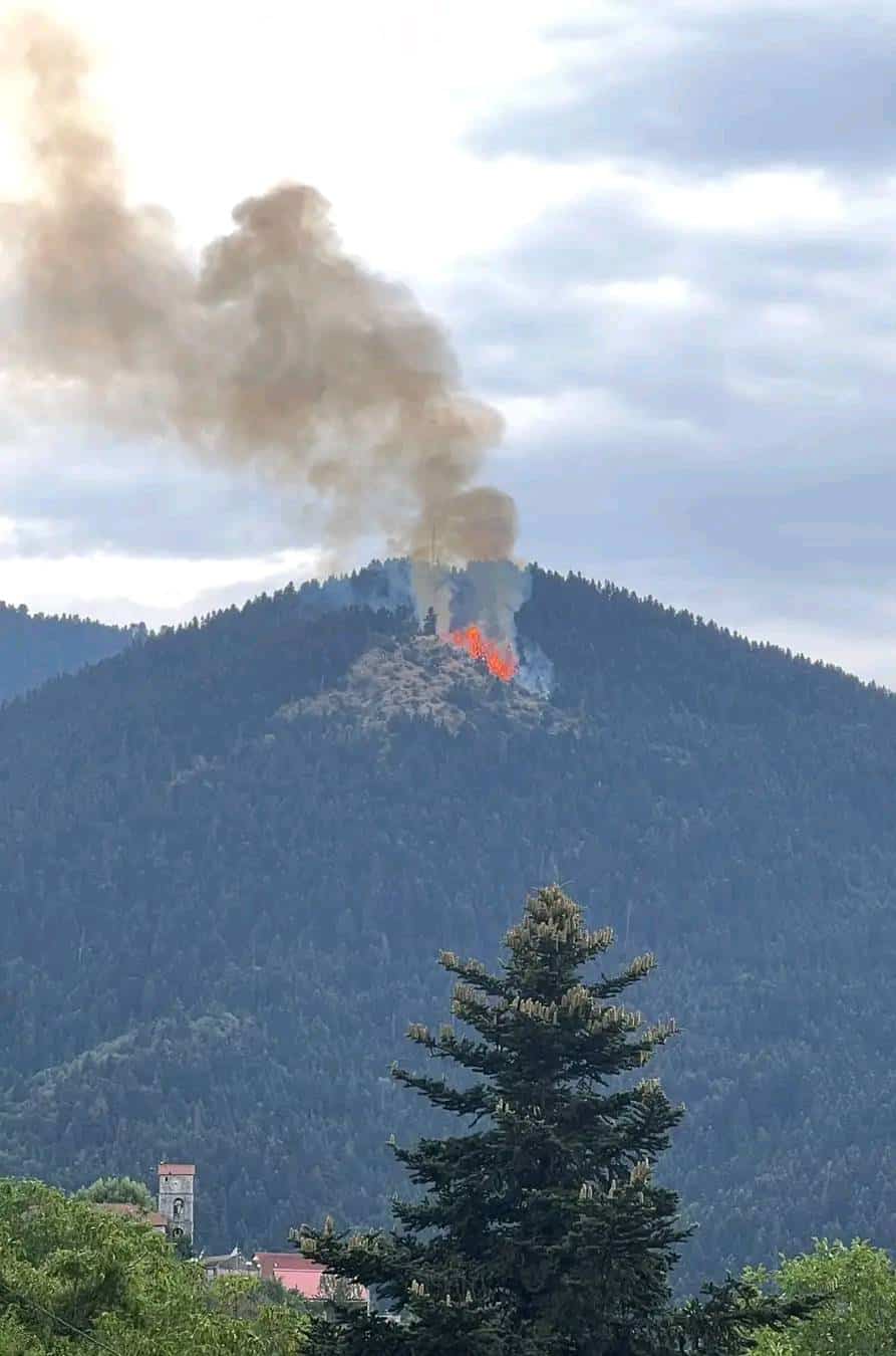 452225696 406280519110050 1027007132412868677 n