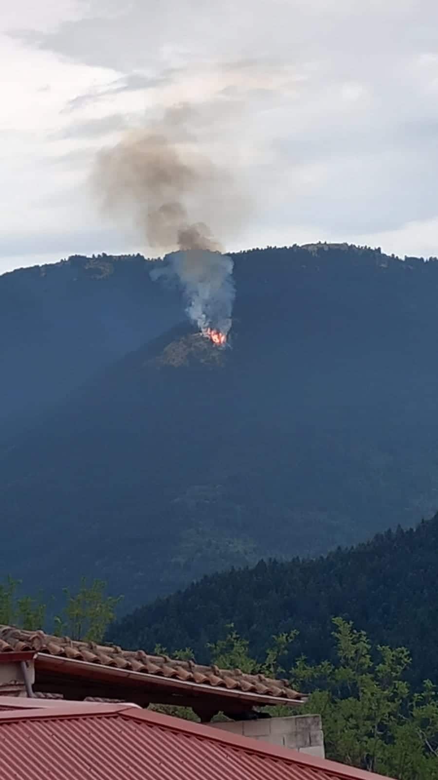 452387775 8092450567443841 5075281316841536105 n