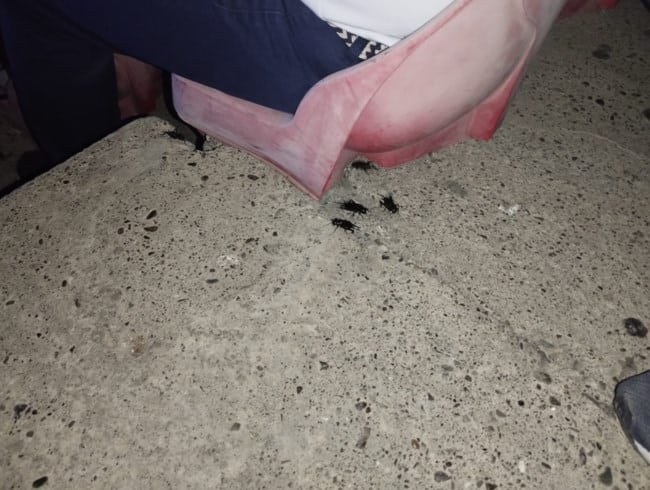 a7a7205f886744bab4d39adfee0e89fa