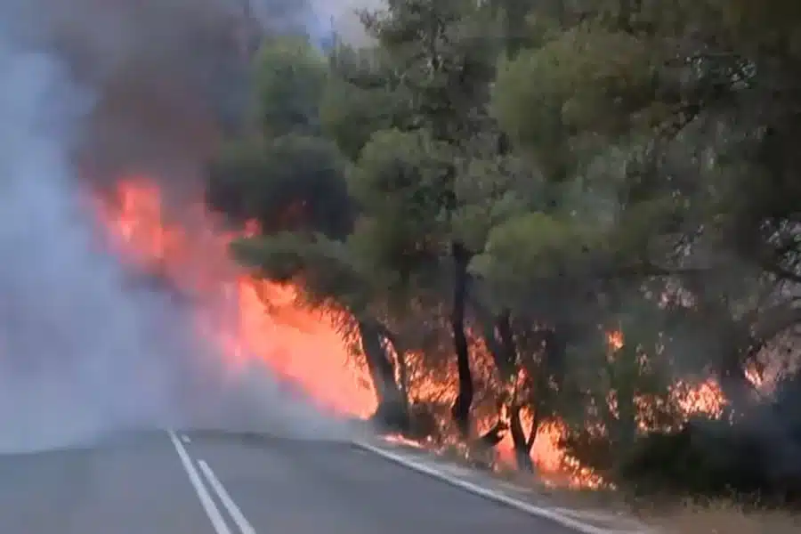 adb91fe0720cee26543fe5768af6b09a l