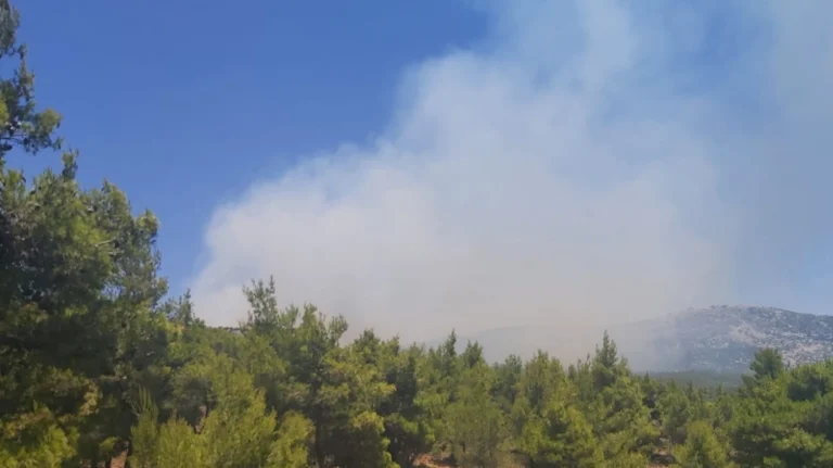 Φωτιά στον Κιθαιρώνα κοντά στις Ερυθρές Αττικής – Εκκενώνεται κατασκήνωση με παιδιά