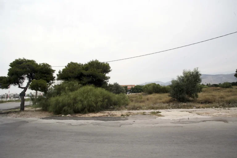 Ακαθάριστα Οικόπεδα: Πότε τελειώνει η νέα προθεσμία – Βήμα βήμα η δήλωση στην πλατφόρμα