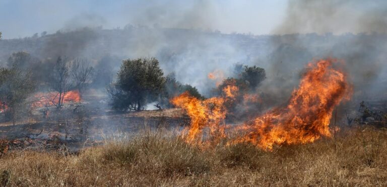 Διπλή φωτιά στο Μαρκόπουλο: Συναγερμός στην Πυροσβεστική, επιχειρούν 4 εναέρια μέσα