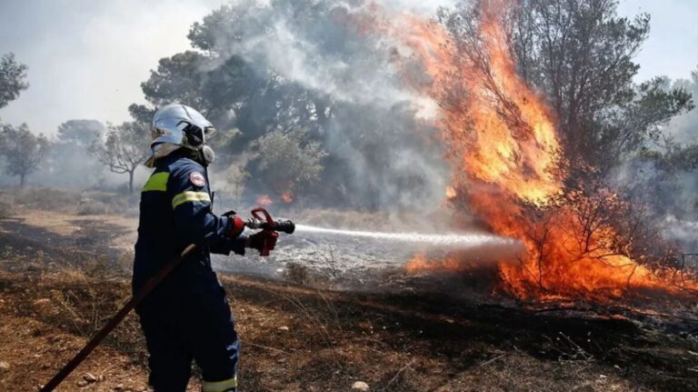 Νέα μεγάλη φωτιά στον Έβρο – Πυροσβεστικά αεροπλάνα και ελικόπτερο στον αέρα