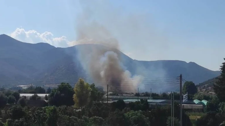 Φωτιά στον Μαραθώνα: Καίει χαμηλή βλάστηση – Επιχειρούν εναέρια μέσα