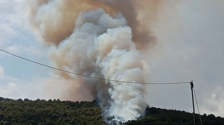 Συναγερμός για φωτιά στα Γλυκά Νερά κοντά στον οικισμό – Σηκώθηκαν εναέρια μέσα, μήνυμα από το 112