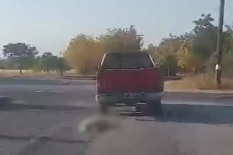 Κτηνωδία στην Ημαθία: Οδηγός αγροτικού έδεσε και έσυρε σκύλο στην άσφαλτο – Προσοχή! Σκληρές εικόνες