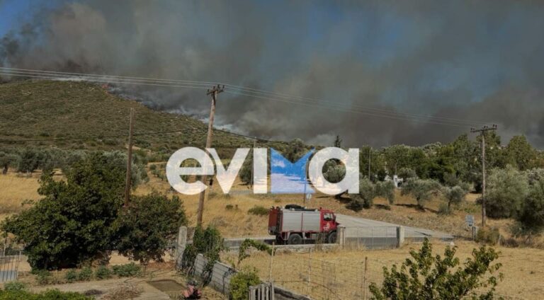Φωτιά στην Εύβοια: Τραυματίστηκε πυροσβέστης – Μεταφέρεται με ασθενοφόρο