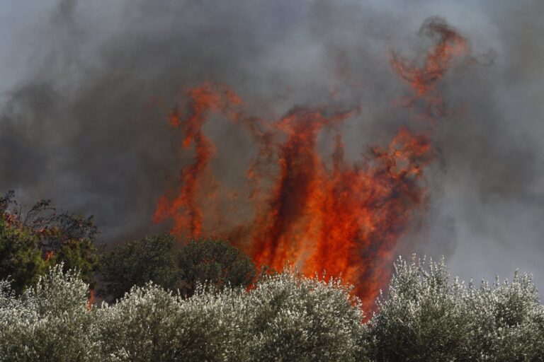 Φωτιά στα Δερβενοχώρια – Συναγερμός στην Πυροσβεστική