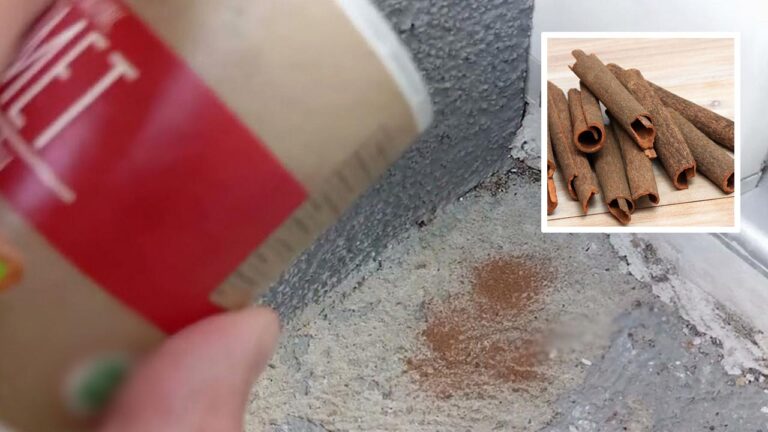 Γιατί πρέπει να ρίχνετε κανέλα πίσω από τις πόρτες