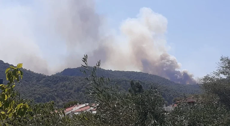 Μεγάλη φωτιά στο Σοφικό Κορινθίας: 6 χιλιόμετρα το πύρινο μέτωπο – «Αν είχε μπει στο χωρίο, θα μιλούσαμε για τραγωδία» 