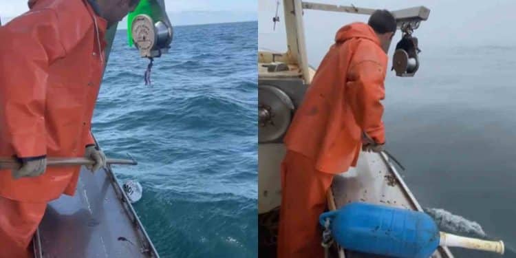 Κύμα οργής με βίντεο που δημοσίευσε ψαράς στο TikTok – Γιατί ξεσήκωσε θύελλα αντιδράσεων