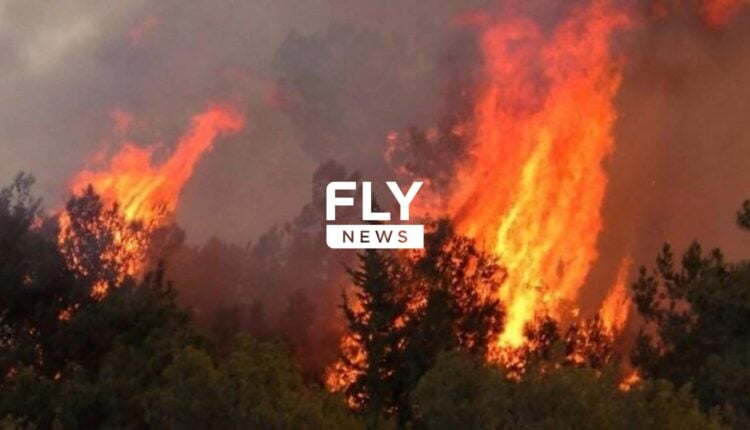 Μεγάλη φωτιά στη Μονεμβασιά – Η πυρκαγιά καίει δασική έκταση