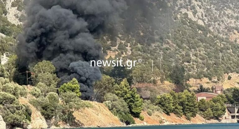 Σοβαρό τροχαίο: Φορτηγό έπεσε σε γκρεμό στα και έπιασε φωτιά, νεκρός ο οδηγός