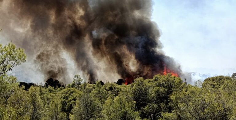 Νέα φωτιά τώρα – Συναγερμός στην Πυροσβεστική – Σε ετοιμότητα οι κάτοικοι για εκκένωση
