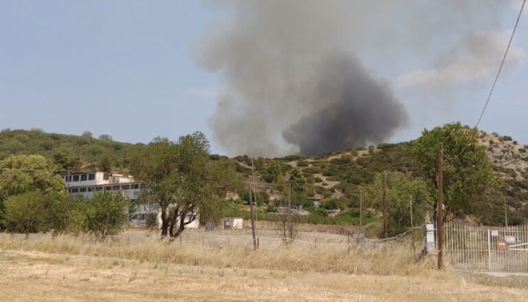 Φωτιά στον Ωρωπό – Έτοιμοι για εκκένωση οι κάτοικοι – Ήχησε το 112, πετούν εναέρια μέσα