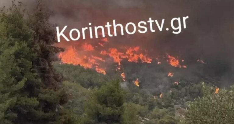 Φωτιές στην Κορινθία: Διπλό πύρινο μέτωπο σε Αμμώνι και Εξαμίλια – Τραυματίστηκε πυροσβέστης