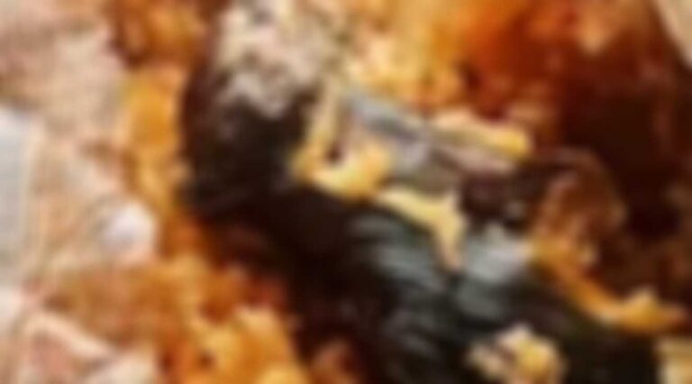 «Κόκκινος συναγερμός»: Βρέθηκαν νεκρά ποντίκια σε ρύζι – Ανακλήθηκαν 27.500 συσκευασίες