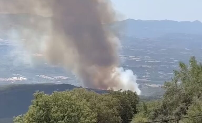 Μεγάλη φωτιά στην Αρκαδία – Συναγερμός στην Πυροσβεστική – Κινδυνεύουν άνθρωποι και σπίτια