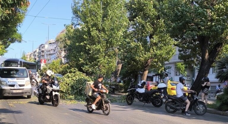 Έπεσε δέντρο σε δρόμο στην Αθήνα – Απίστευτο κυκλοφοριακό χάος
