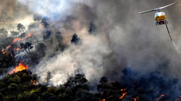 Φωτιά στη Στιμάγκα Κορινθίας: 37 μήνες φυλάκιση χωρίς αναστολή στον εμπρηστή – Ομολόγησε ο 72χρονος