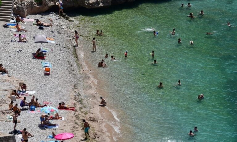 Επικίνδυνο καλοκαίρι:  Νέος τρόμος στις ελληνικές θάλλασες – Auτά είναι τα ψάρια «δολοφόνοι» που κυκλοφορούν