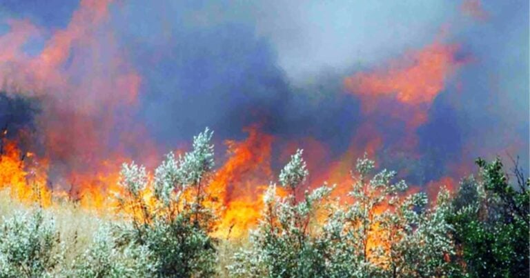 Νέα φωτιά στην Ηλεία: Συναγερμός στην Πυροσβεστική – Σηκώθηκαν 3 αεροσκάφη