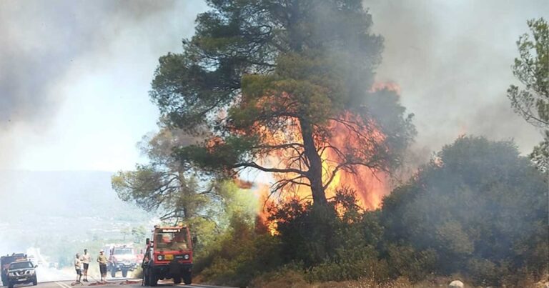 Συναγερμός για φωτιά στο Σοφικό Κορινθίας – Επιχειρούν 7 εναέρια μέσα