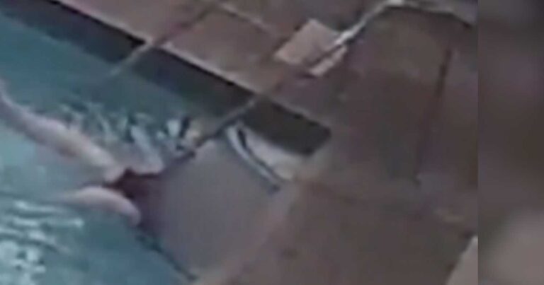 58χρονη πνίγεται σε πισίνα και ο κόσμος γύρω της αδιαφορεί