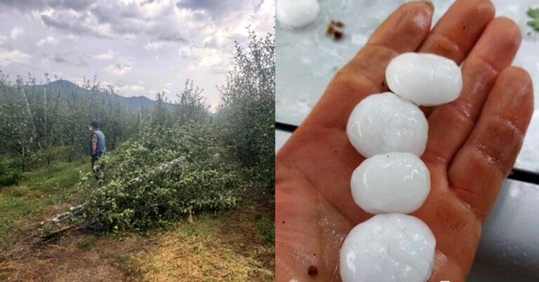 Ισχυρή χαλαζόπτωση έπληξε τον νομό Πέλλας