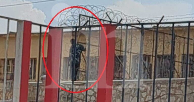 Κορυδαλλός – Απόπειρα απόδρασης: Ο κρατούμενος εγκλωβίστηκε στα σύρματα της φυλακής και παραδόθηκε