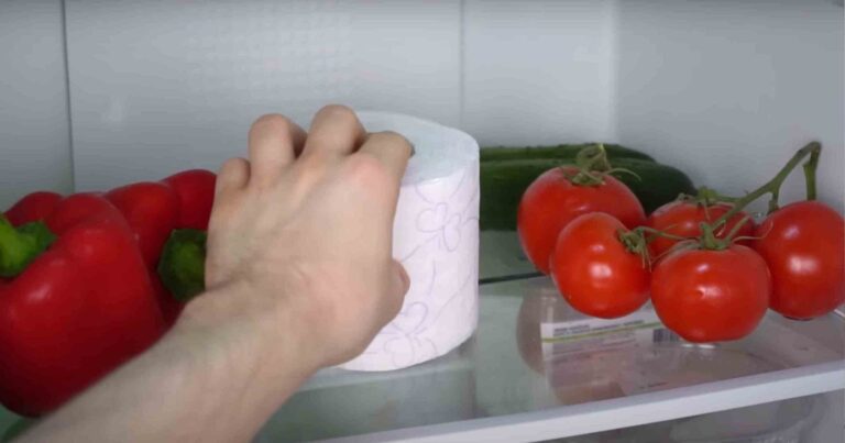 Το συστήνουν και οι ψυκτικοί: Ο λόγος που πρέπει πάντα να τοποθετείς ένα χαρτί υγείας μέσα στο ψυγείο