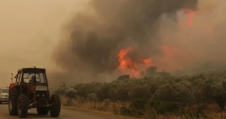 Εφιάλτης δίχως τέλος: Ξέσπασε πριν λίγο ξανά μεγάλη και επικίνδυνη φωτιά – Καίγεται το δάσος μεγάλης πόλης της Ελλάδας