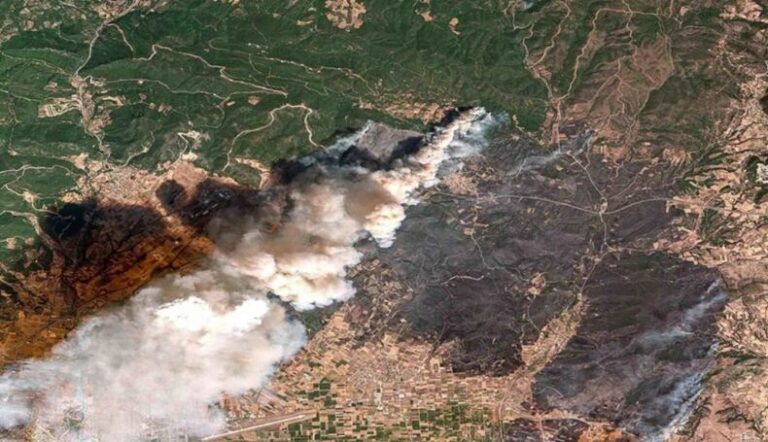 Εθνική τραγωδία στη χώρα – Κάηκαν 100.000 στρέμματα και πάνω από 300.000 ζώα