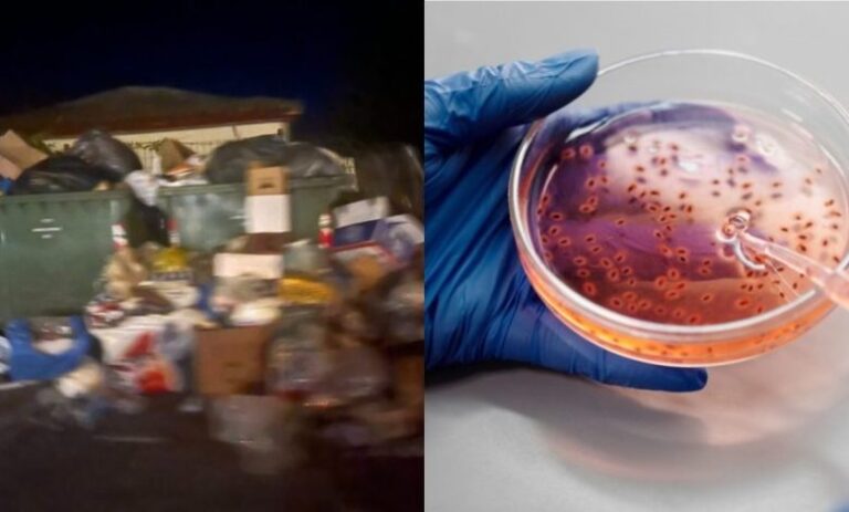 Τραγικό: Νομός της Ελλάδας βρωμάει από άκρη σε άκρη – Συναγερμός για στρεπτόκοκκο και άλλες σοβαρές λοιμώξεις