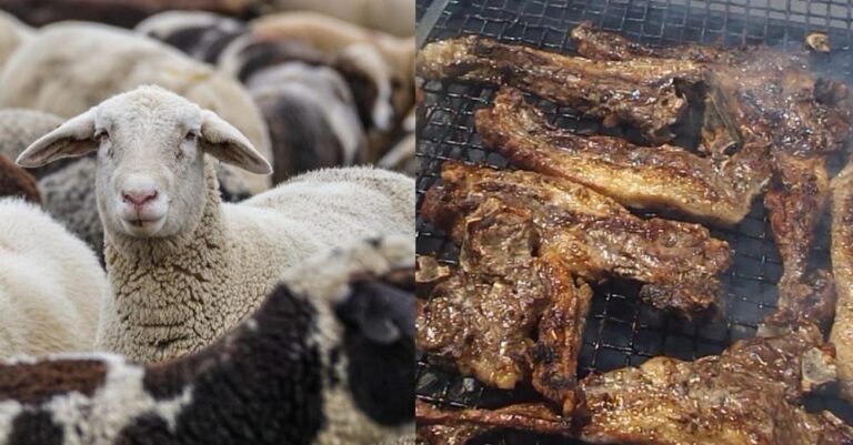 Πανώλη: Χλώμιασαν οι Έλληνες, ανακοινώθηκε πριν λίγο – Αλλάζουν όλα από Δευτέρα για αρνί, παϊδάκια & προβατίνα