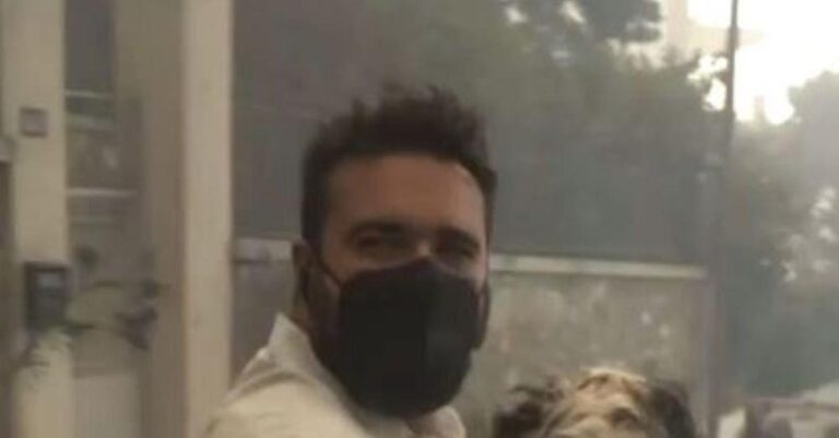 Φωτιά στην Αττική: Ρεπόρτερ του Star σώζει σκύλο από την πύρινη κόλαση