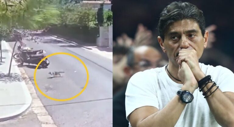 Ανατριχιαστικό βίντεο: Αυτοκίνητο πατά τον γάτο του Δημήτρη Γιαννακόπουλου και τον εγκαταλείπει