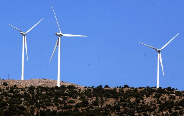 Εγκρίθηκε τελικά μία ακόμα αναδάσωση – Άνοιξε ο δρόμος για το αιολικό γίγας στην Εύβοια