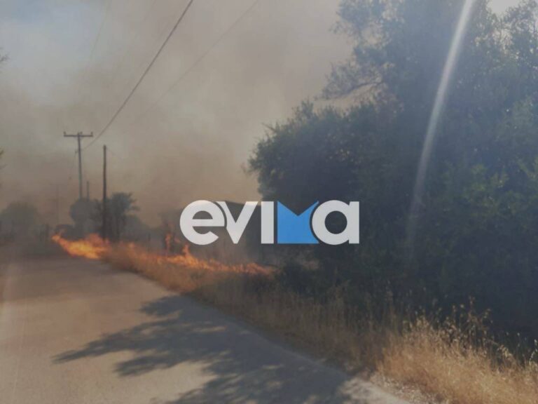 Έκτακτο μεγάλη φωτιά τώρα – Καίγεται ξανά η Εύβοια – Οι φλόγες έχουν περικυκλώσει σπίτια – Συγκλονιστικό βίντεο