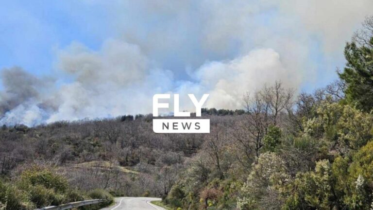 EKTAKTO – Νέα μεγάλη φωτιά ΤΩΡΑ – Καίγεται παpθένα δάσος – Συναγερμός στην Πυροσβεστική – Σηκώθηκαν εναέρια