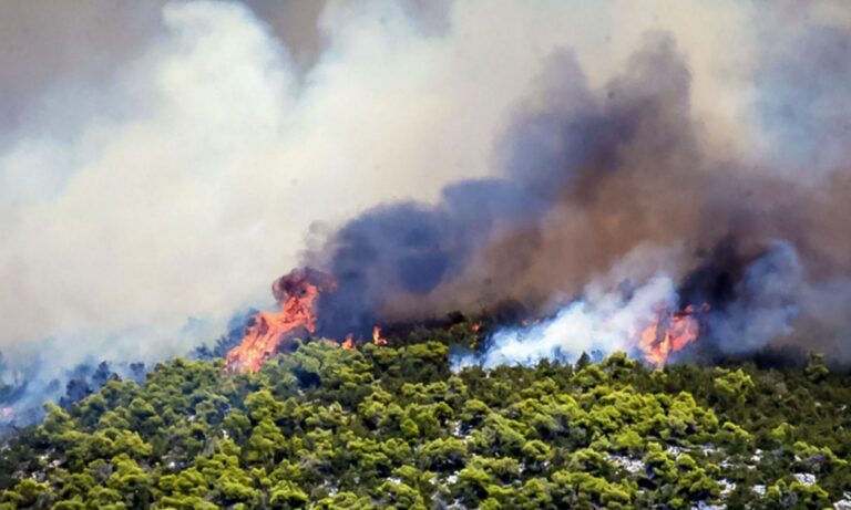 Νέα μεγάλη φωτιά τώρα στην Αττική – Επιχειρούν και 4 εναέρια μέσα