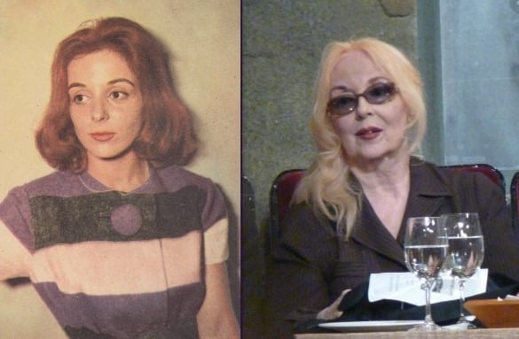 621237941 1423531759448064 9144341429008184924 n