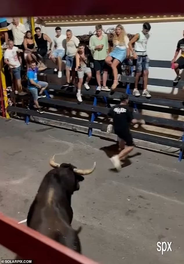 88261147 13718605 the bull runner stood no chance against the huge animal running a 36 1723035802098
